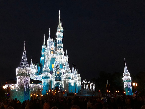 Disney fastpass - magic kingdom castle in lights at night