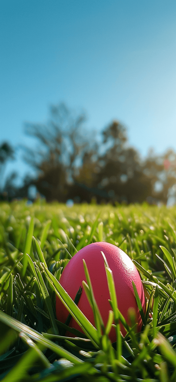 Easter iPhone wallpaper: A bright Easter egg nestled in a bed of soft, green grass under a clear blue sky.