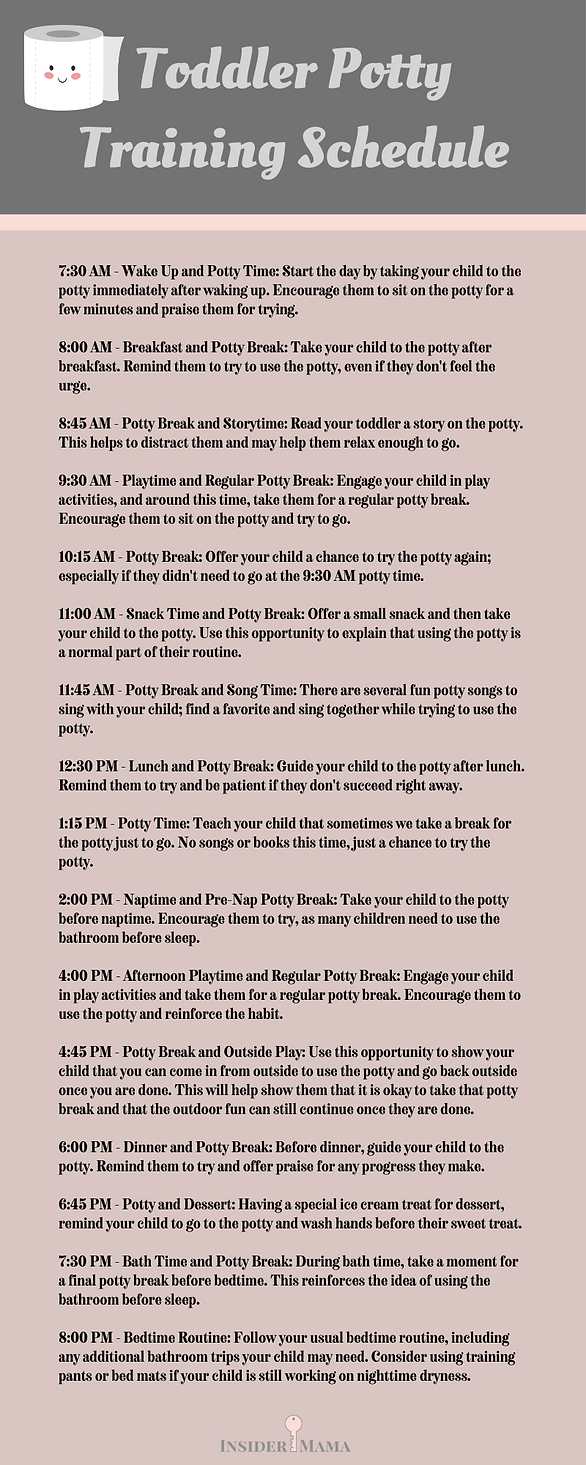 toddler potty training schedule