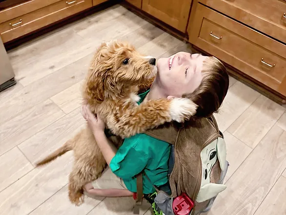 age-appropriate pet responsibilities - goldendoodle puppy licking the face of a young boy sitting on the floor