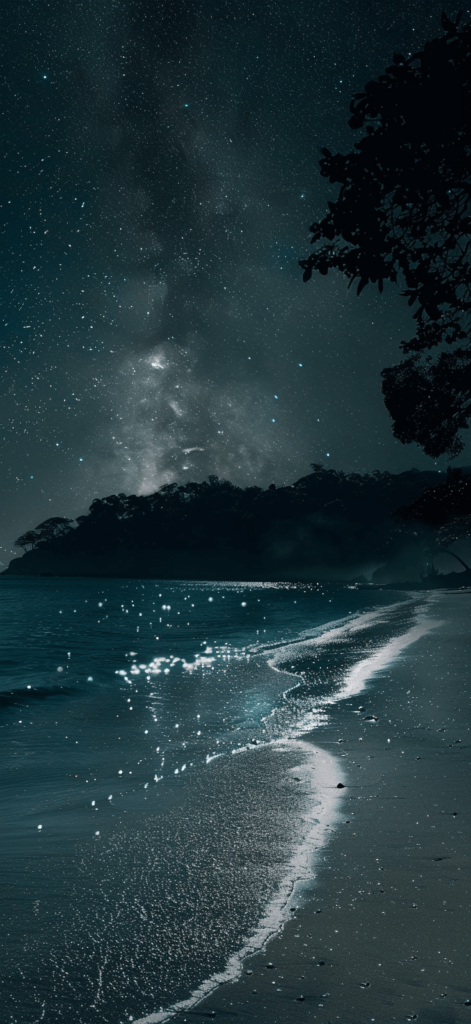 A beach at night with a clear, star-filled sky, the dark, calm ocean reflecting the starlight, creating a serene and magical scene. Beachy iPhone backgrounds. 