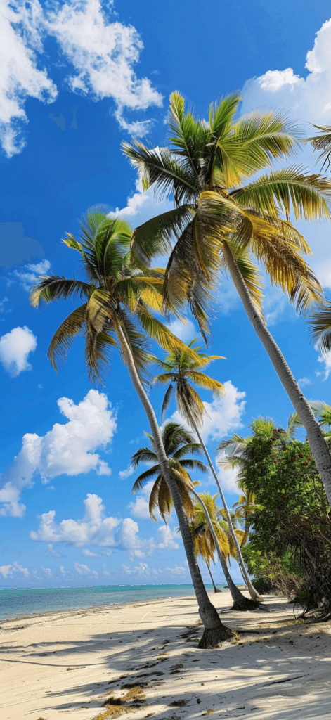 Tall, swaying palm trees on a sandy beach, with a clear blue sky and a few fluffy clouds in the background.