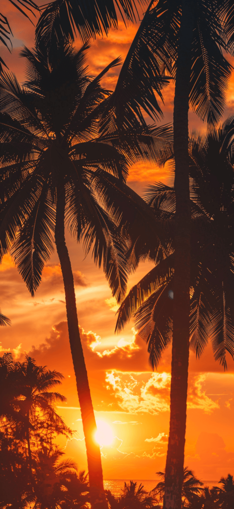 Tropical palm tree silhouettes against a fiery orange sunset, captured in stunning detail.