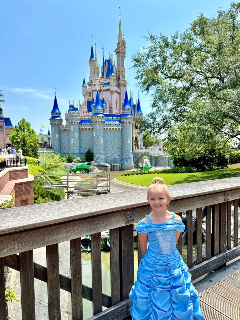 castle with little girl princess, Disney essentials