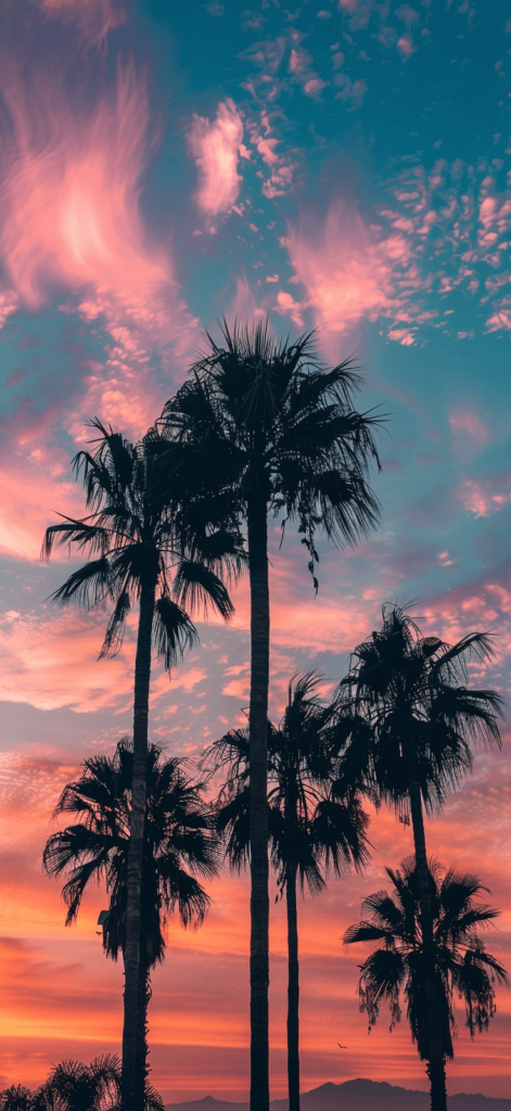 Silhouettes of palm trees against a vibrant sunset sky.
Summer wallpaper. 