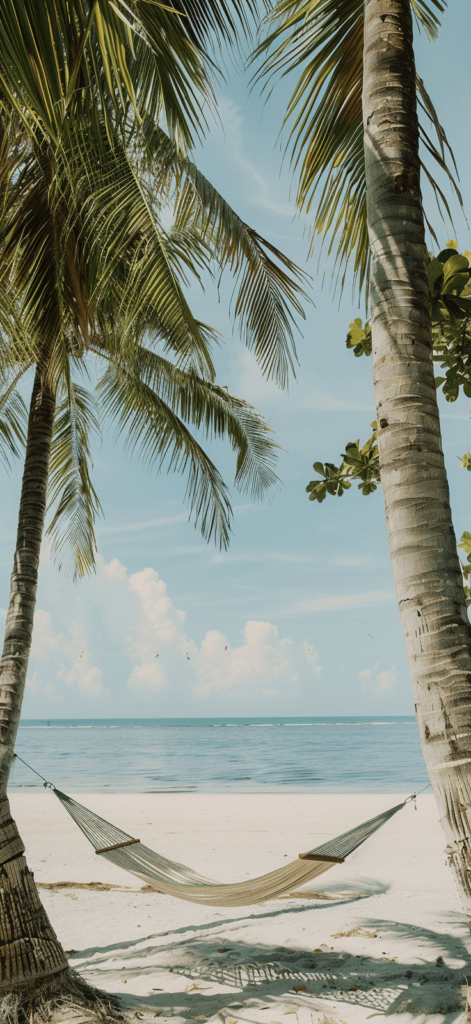 A serene hammock strung between two palm trees on a beach.
