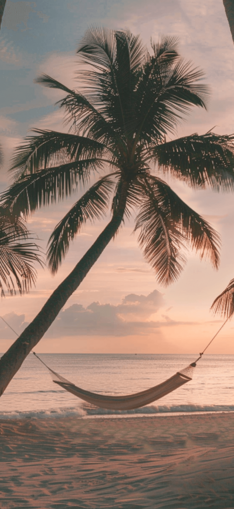 A tranquil hammock suspended between two palm palms on a beach.

