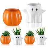 Newtay 4 Pack Halloween Succulent Pots, 3 Inch Halloween Planter Gifts Resin Pumpkin Ghost Shape Planter Small Flower Pots for Home Office Party Wedding, Plants Not Included