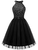 Dressystar Women's Short Halter Cocktail Party Dress Lace Tulle Prom Gown