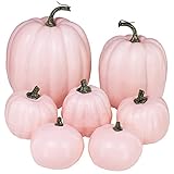 Winlyn 7 Pcs Assorted Sizes Fall Artificial Light Pink Pumpkins Harvest Pumpkins Faux Foam Pale Pink Pumpkins for Fall Autumn Season Halloween Thanksgiving Harvest Festive Tabletop Decoration