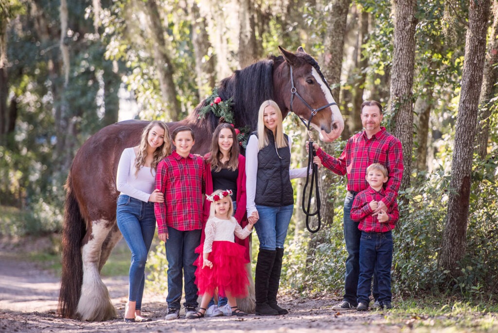 family of 7 in front of a large horse during a family photoshoot