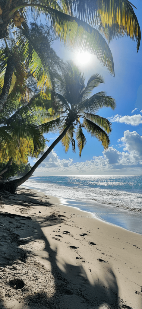 coconut trees on the beach; summer wallpaper