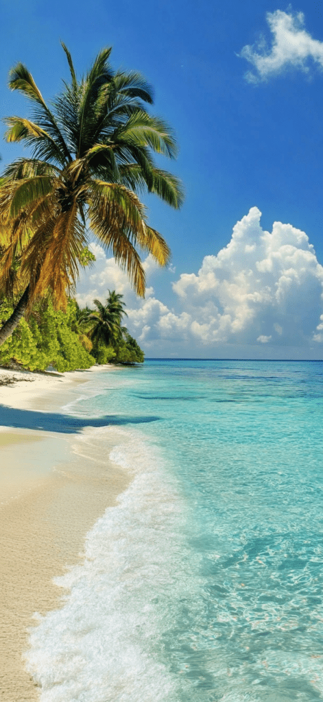 palm tree with water on the shore