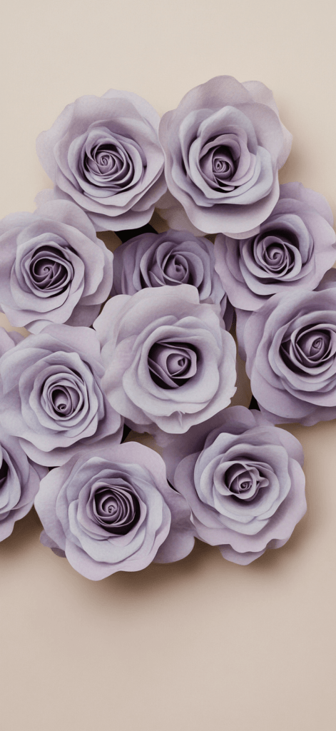 lavender rose heads 