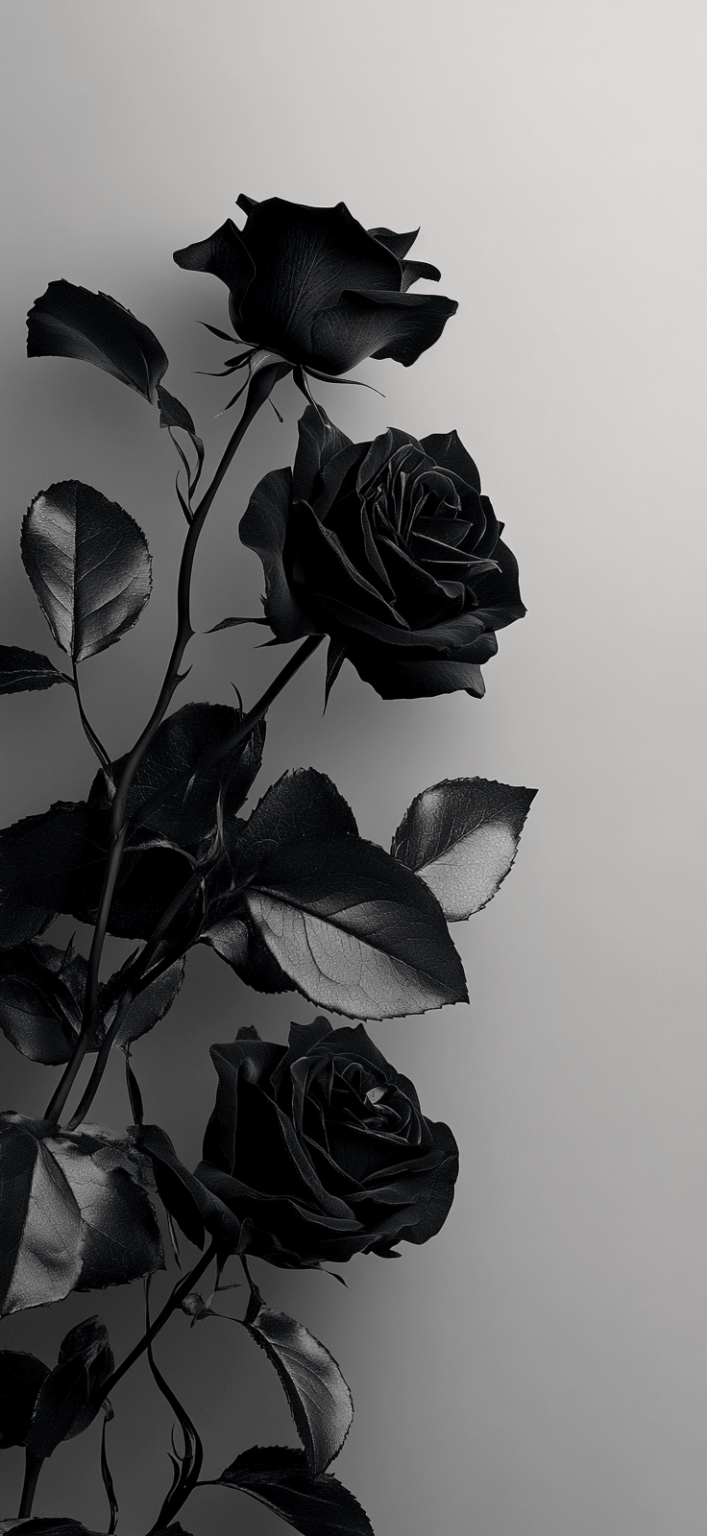 Wallpaper Aesthetic Dark Designs - Insider Mama