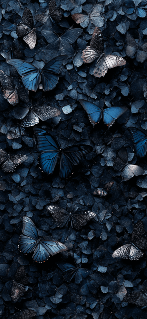 dark-toned butterflies