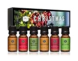 P&J Fragrance Oil Christmas Set | Christmas Wreath, Mistletoe, Candy Cane, Gingerbread, Cinnamon, and Cranberry Candle Scents, Freshie Scents, Candle/Soap Making Supplies