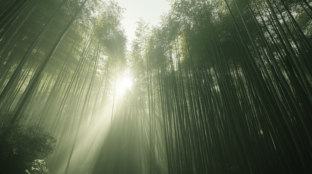 Realistic photo of a serene bamboo forest in Kyoto with sunlight filtering through the tall green stalks.





