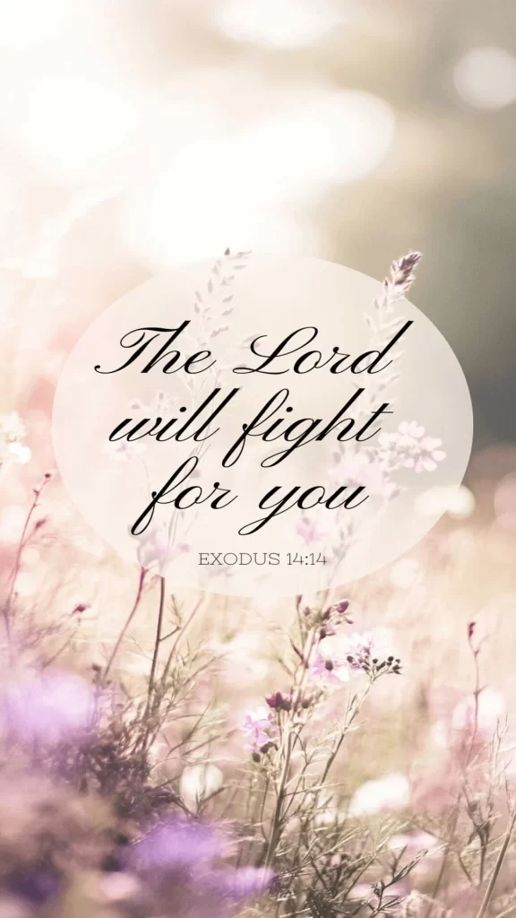 the lord will fight for you