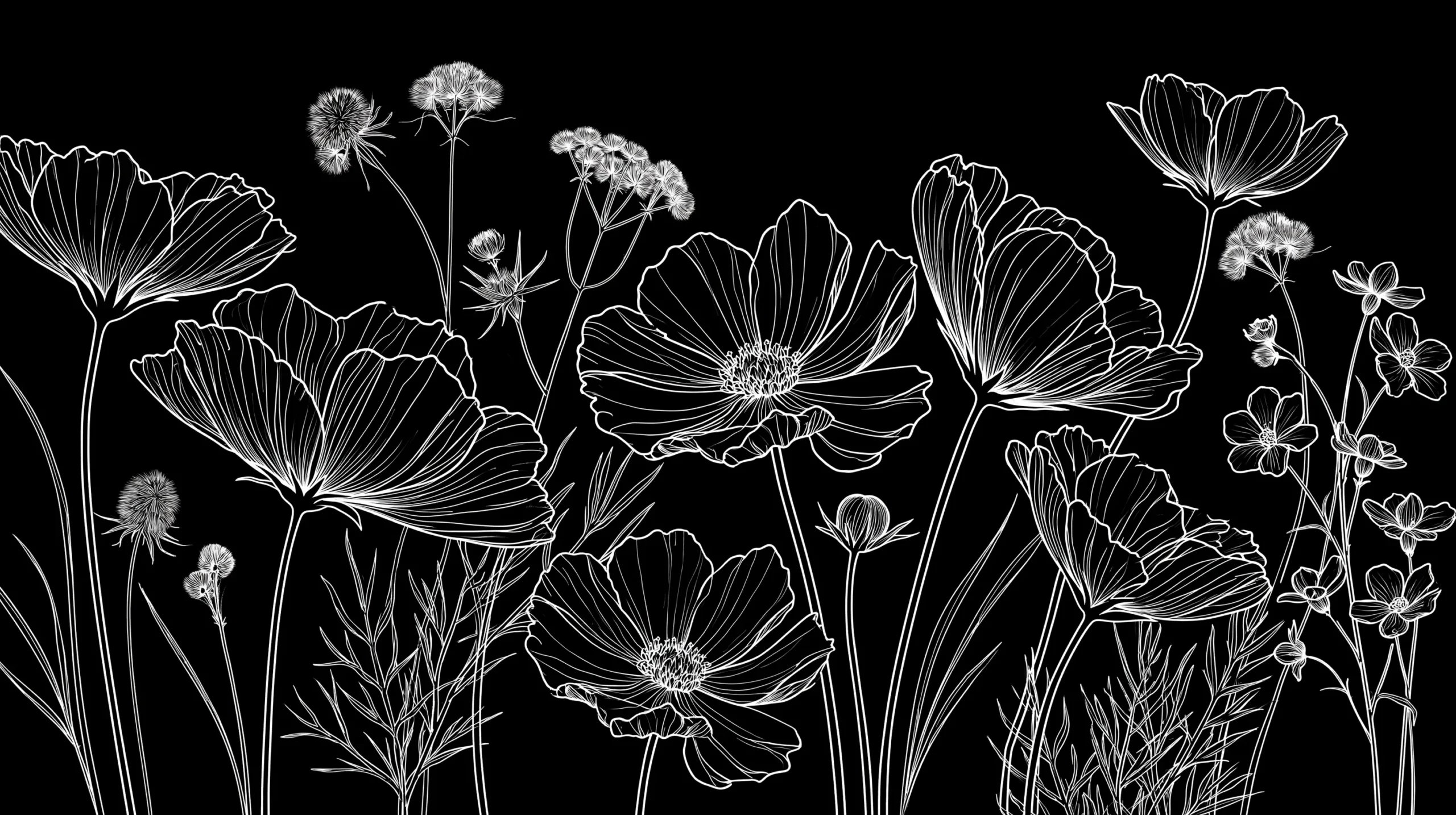 black and white A thin floral line drawing