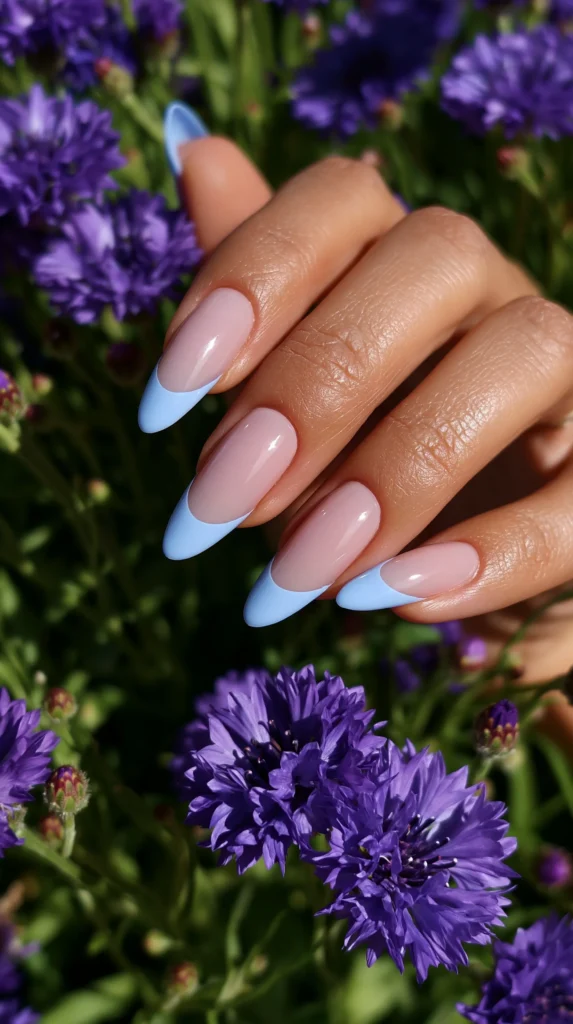 light blue french tips, nails, manicure